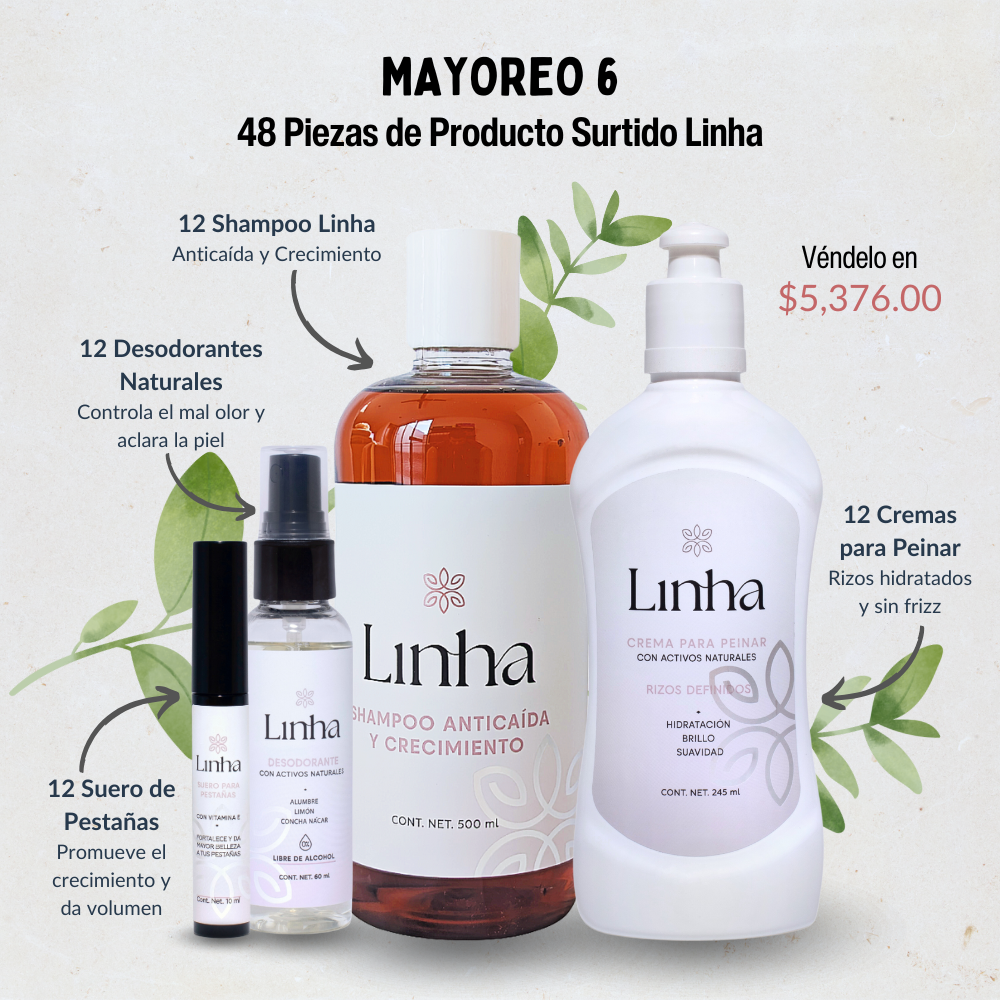 Mayoreo #6: 48 Productos – Variedad y Máximas Ganancias
